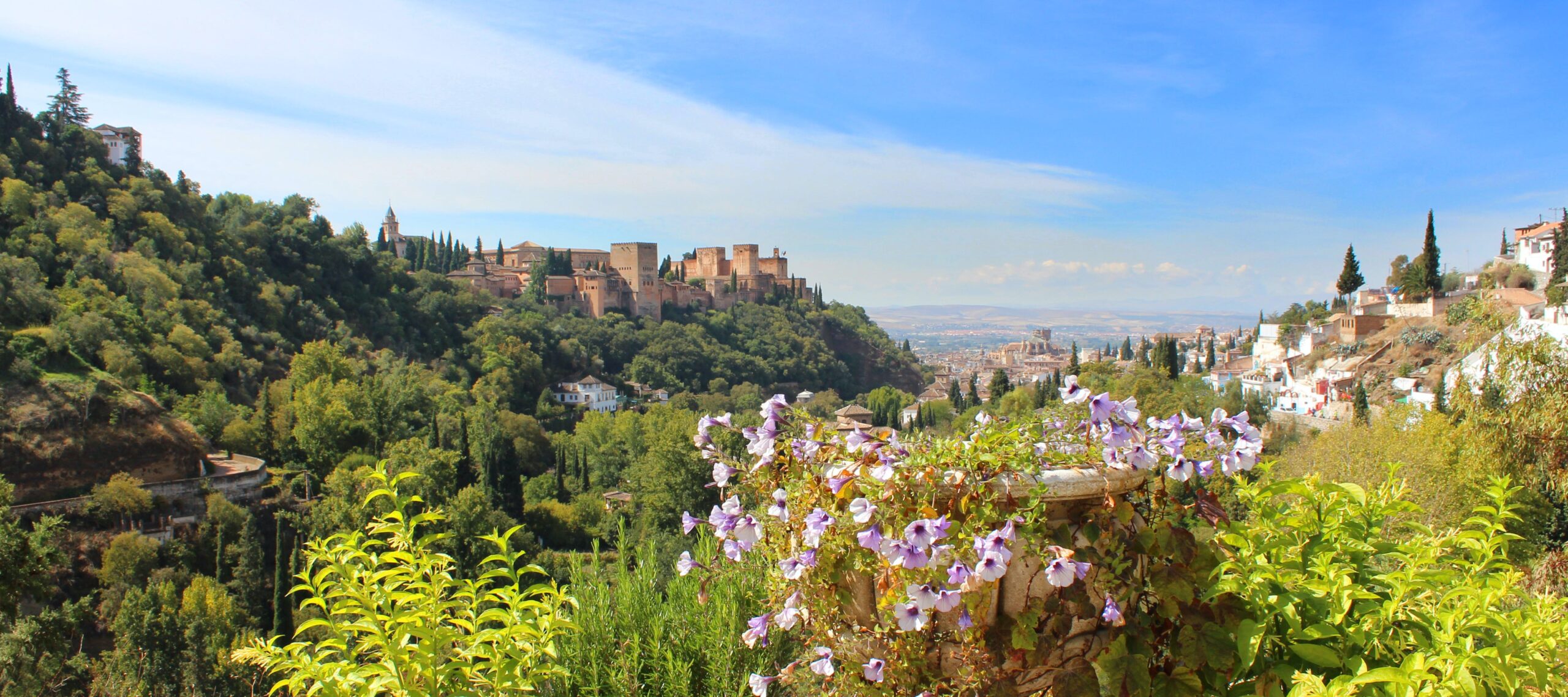 Alhambra desde Sacromonte